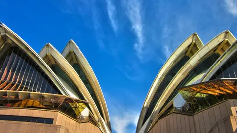 山东魏桥·向尚运动荣获乒超男团冠军